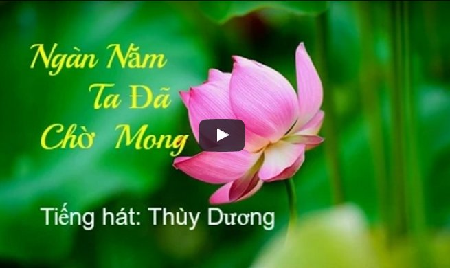 Ngàn Năm Ta Đã Chờ Mong