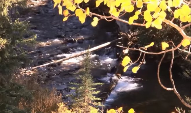 Bạn đang bận rộn công việc? Xin ngừng lại một chút để nghe câu chuyện này…