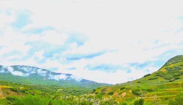 Mối nhân duyên của bốn chị em