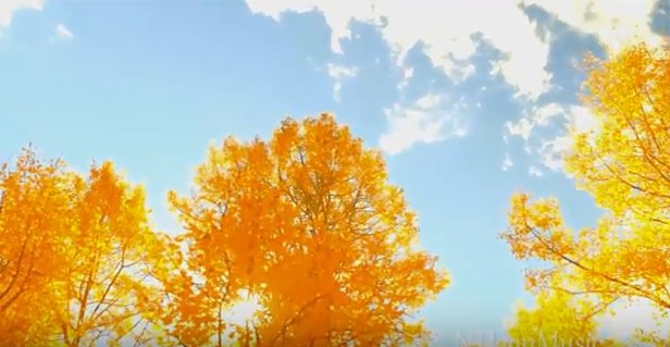 Mối nhân duyên của bốn chị em (Video)