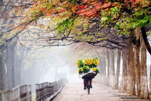 Vì sao người lương thiện cả đời gặp nỗi buồn và trắc trở