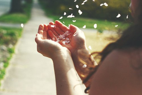 Hoa rơi hoa nở, chỉ là một hồi chờ đợi?