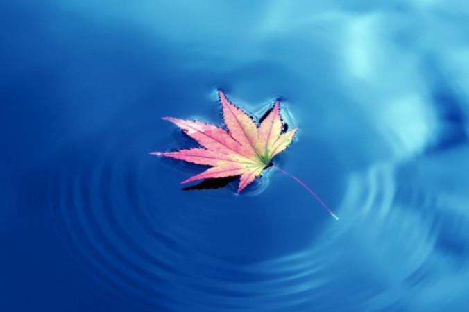 Hình ảnh tùy theo tâm mà biến đổi.