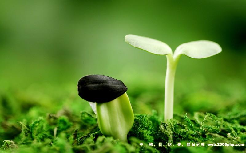 Nhân quả báo ứng: Người tâm địa xấu xa không thoát khỏi hậu quả thê lương