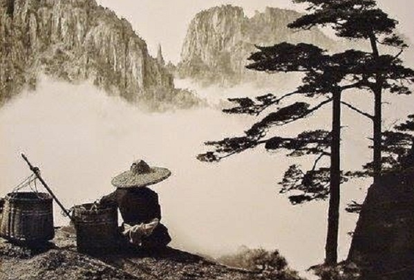 Nhân sinh cảm ngộ: Đời người là một loại lựa chọn, cũng là một loại buông bỏ