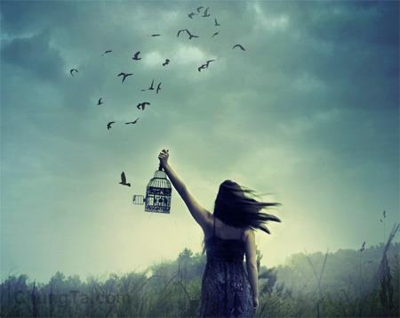 “Buông bỏ” là một loại trí tuệ, biết buông bỏ mới có được hạnh phúc!