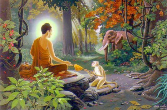 Ác khẩu chịu báo ứng, nhiều kiếp đầu thai làm khỉ