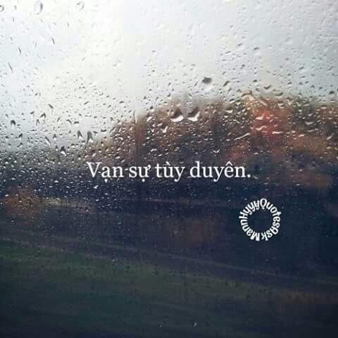 Vạn sự tùy Duyên và vài điều phải nhớ trên đời