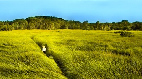 Chuyện Ở Đời, Đừng Vội Phán Xét Ai