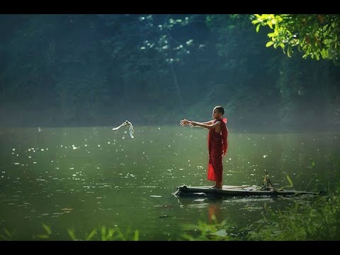 Nhân quả báo ứng chỉ là sớm hay muộn mà thôi