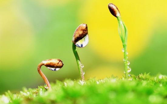 Bài học từ Lão Tử: “Các vị chọn là hòn đá hay miếng gạch vỡ?