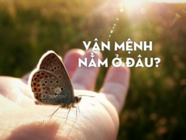 Tướng không tốt, số chẳng lành, phong thủy thất cách, tại sao vẫn giàu?