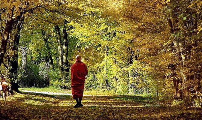 Bị từ chối cho trú mưa nhờ, vị hòa thượng lại xử sự như vậy