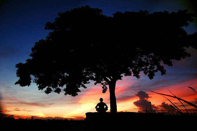 Câu chuyện cuộc đời của một người có công năng đặc dị (Phần cuối)