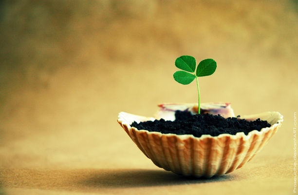 Tích tiền không bằng tích Đức