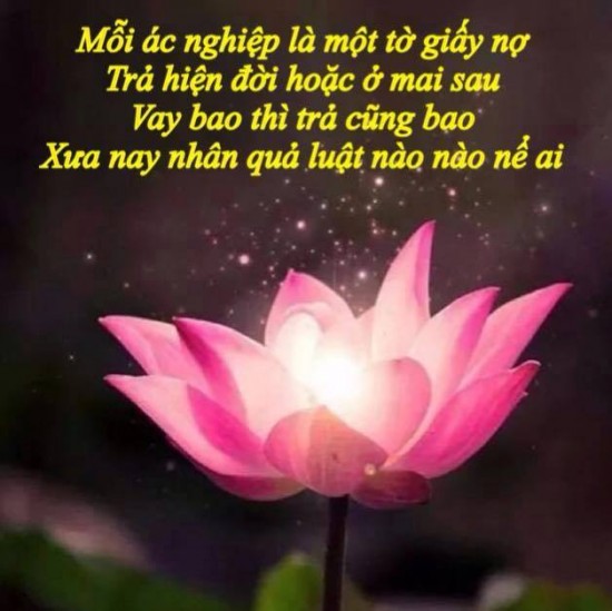 Quả báo hiện đời của người phụ nữ ngoại tình