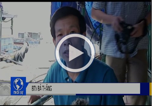 Kinh hoàng: Cá chết chỉ sau 2 phút bơi trong nước biển Vũng Áng (Video)