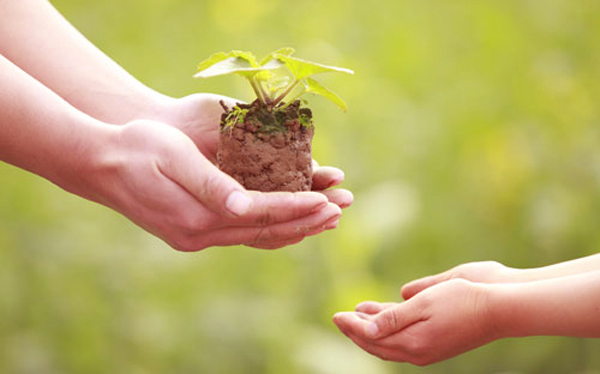 Có mất sẽ có được, vui vẻ chịu thiệt được nhiều hơn