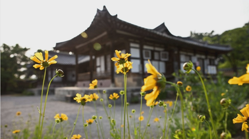 Điều đặc biệt nơi Quán trà tạo hình hoa sen trên mặt nước ở Hàn Quốc