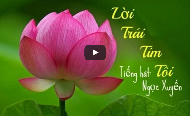 Lời trái tim tôi