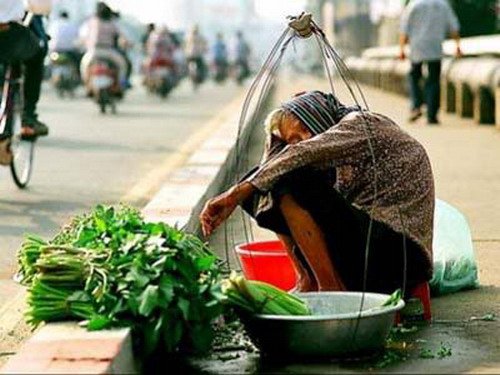 Bà cụ bán rau một lòng giữ chữ tín