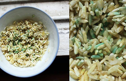 Hoang mang vì gạo ngâm nước đổi màu xanh, bốc mùi hôi