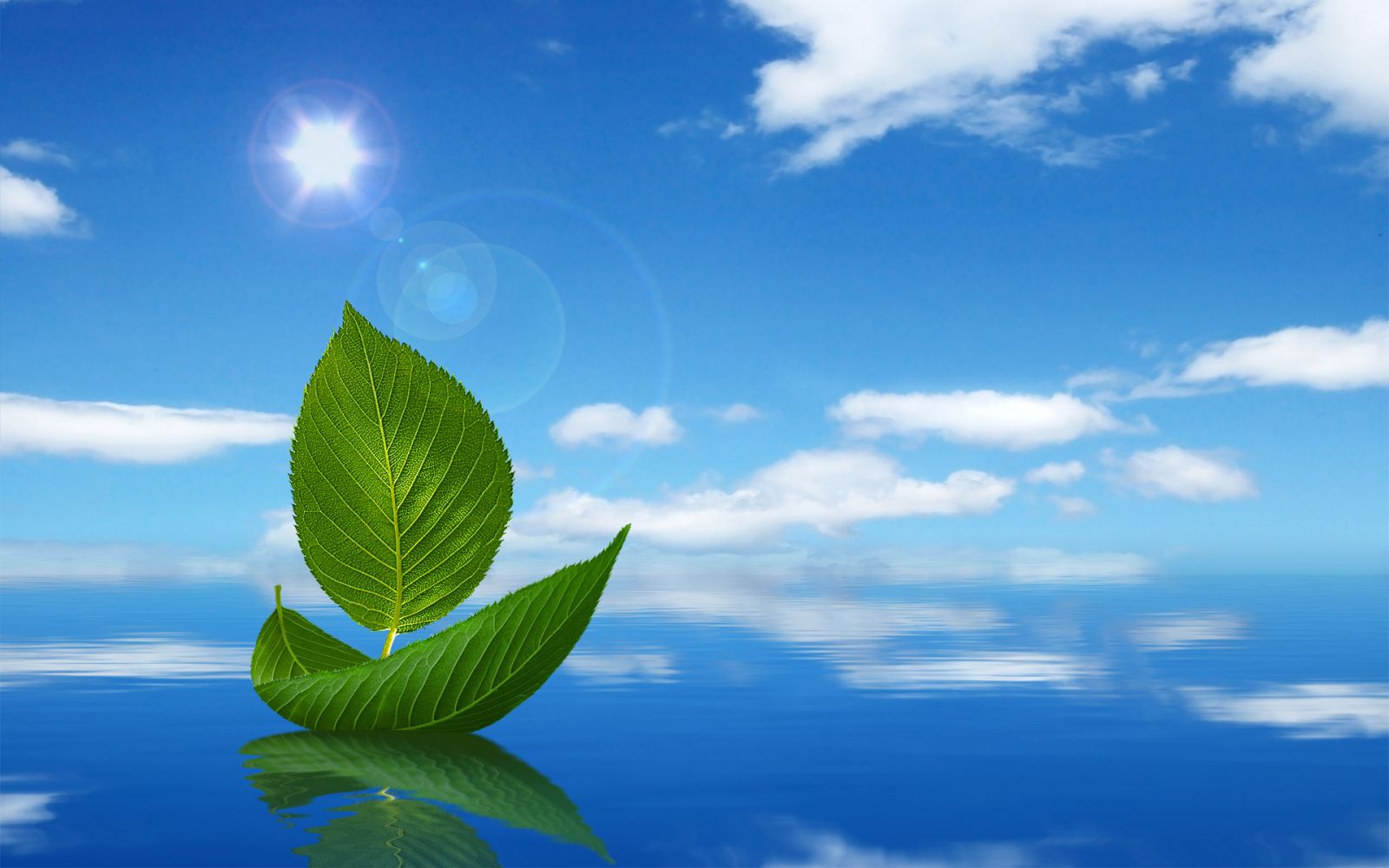 Bạn để lại gì cho cuộc sống