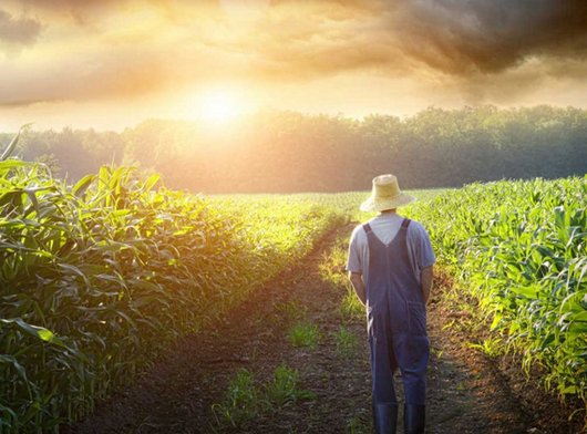 Câu chuyện về đôi giày rách và hai đồng tiền