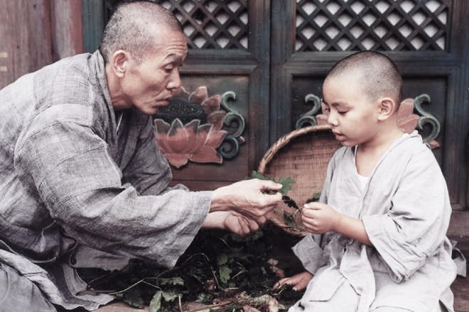 Một trái tim từ bi thức tỉnh lương tri triệu con người