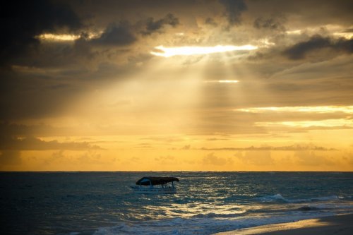 Có dự ngôn tất có bậc cứu thế!