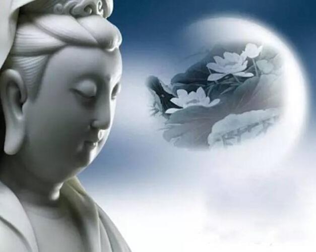 Tham tiền bỏ mặc sinh mệnh, cuối cùng báo ứng diện tiền