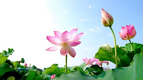 Vì sao Thượng đế lại không quan tâm và khen thưởng cho người tốt?