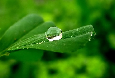 Từ một lời tốt cứu vạn mạng người con cháu được hưởng thiện báo nhiều đời