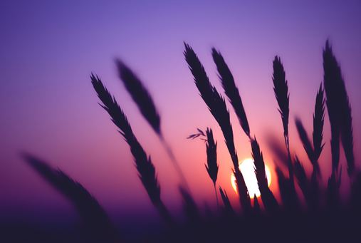 Phút hối hận muộn màng