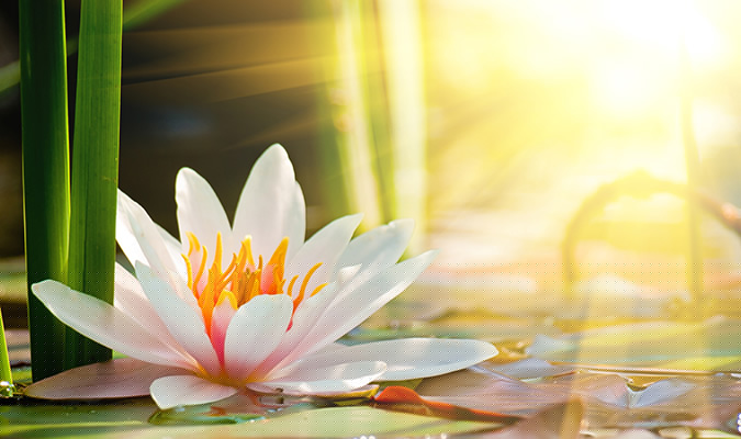 Những câu chuyện khiến chúng ta phải suy ngẫm