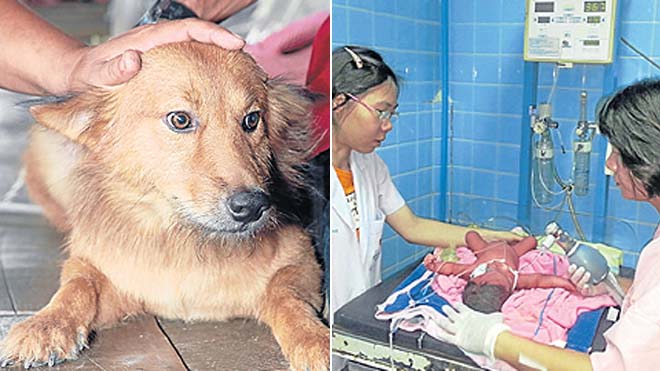 Ồ… Pui… Cảm ơn nhiều nhiều nha