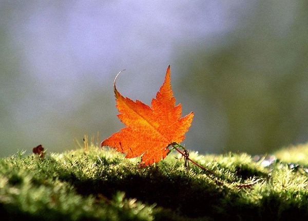 Tiền bạc quan trọng đấy, nhưng…