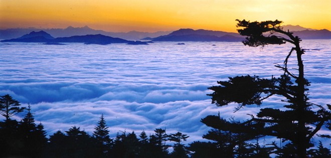 Trăm năm qua hết kiếp người, chuyển sinh trôi nổi biết về nơi đâu? 