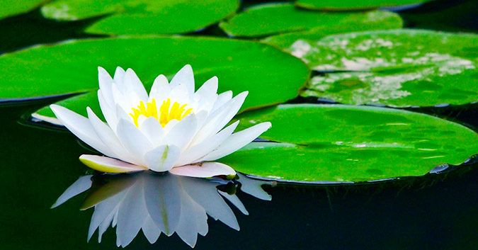 Ba đặc điểm của một người thượng đẳng