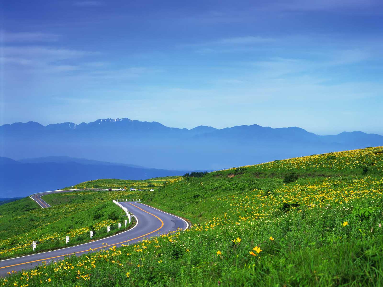 Tổng hợp những ‘bí kíp’ giúp bạn an tâm đi hết cuộc đời