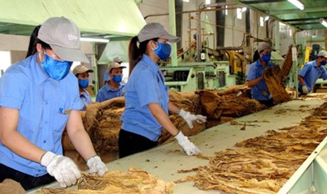 Cảnh báo: ‘Độc tố’ của thuốc lá phần lớn ở bộ lọc