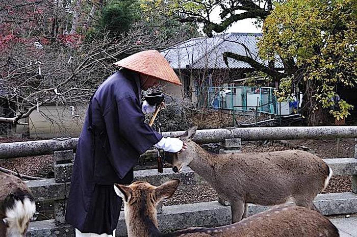 Biết đủ thì nghèo khổ cũng vui, truy cầu nhiều giàu sang vẫn phiền não