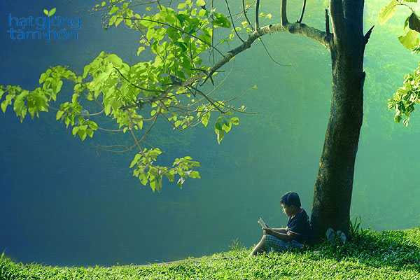 Trong cuộc sống, Đừng vì chút lợi nhỏ nhoi mà đánh mất đi nhân cách