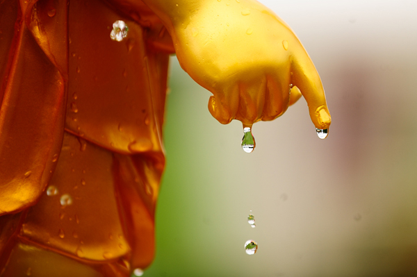 Vì sát nghiệp tiền kiếp, Vị Sư phải trả quả báo bằng chính thân mạng mình