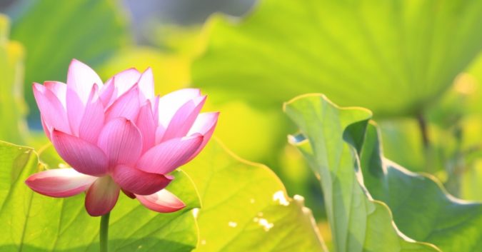 Làm người nên biết chịu thiệt một chút mới tốt