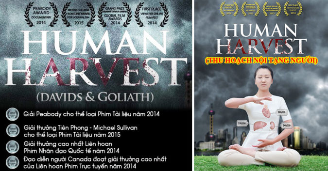 Ngày 1/10/2016 chính thức trở thành ngày Thế giới chống mổ cướp tạng