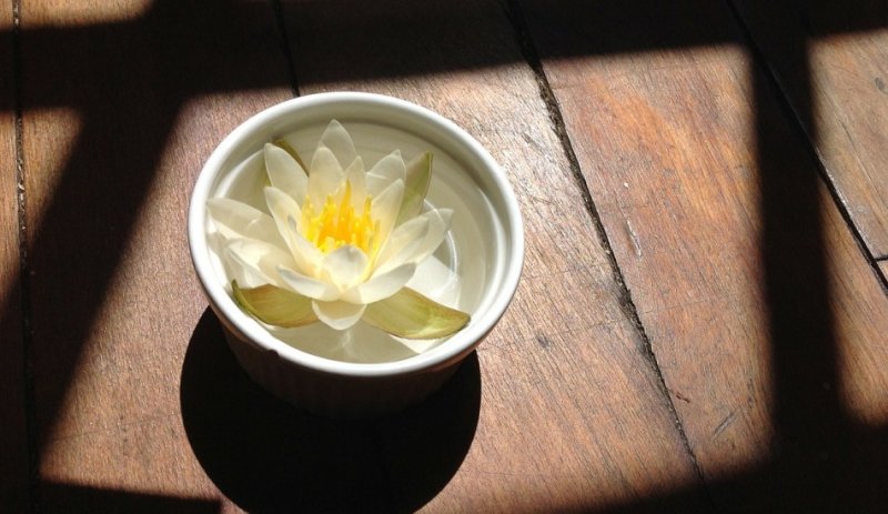 Câu chuyện bát nước của thầy phong thủy: Yếu tố nào quyết định hạnh phúc?