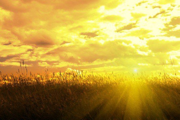 Tham tài hại mệnh, báo ứng ngay trong kiếp sống này