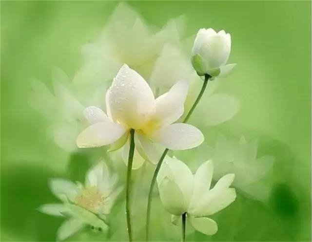 Nói lời vu khống bịa đặt, bị ác báo trong gang tấc