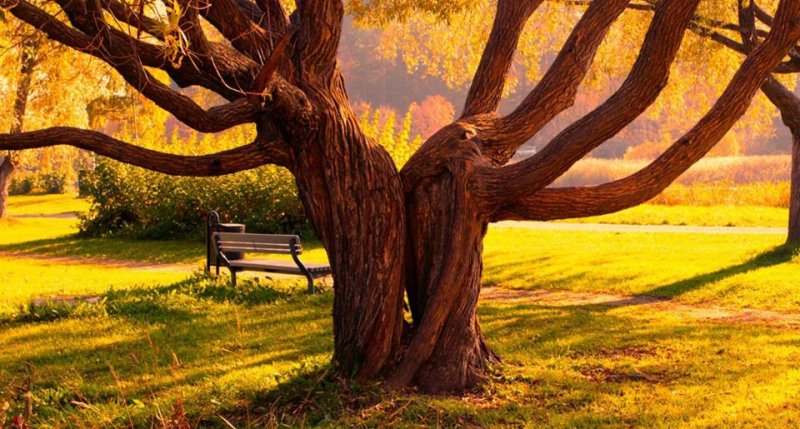 Cho dù bạn yêu một người nhiều bao nhiêu, cũng đừng nguyện ý ‘ký sinh’!